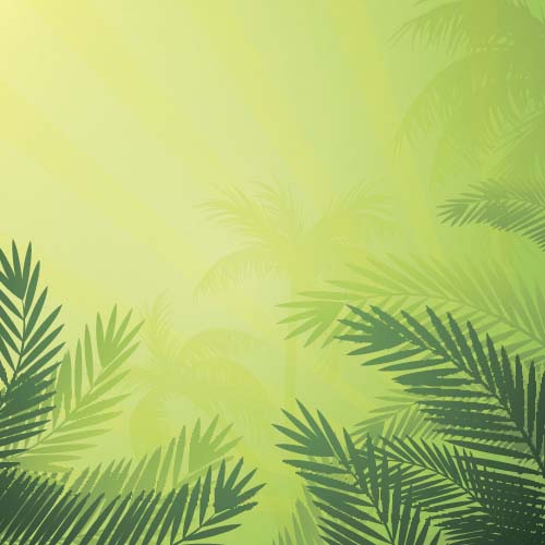 Feuilles de palmier vert fonds vecteur 07 vert paume feuilles   
