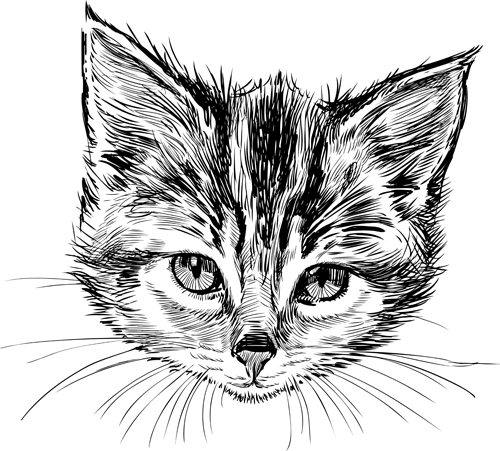手描き猫ヘッドベクターセット05 頭 手描き ネコ   