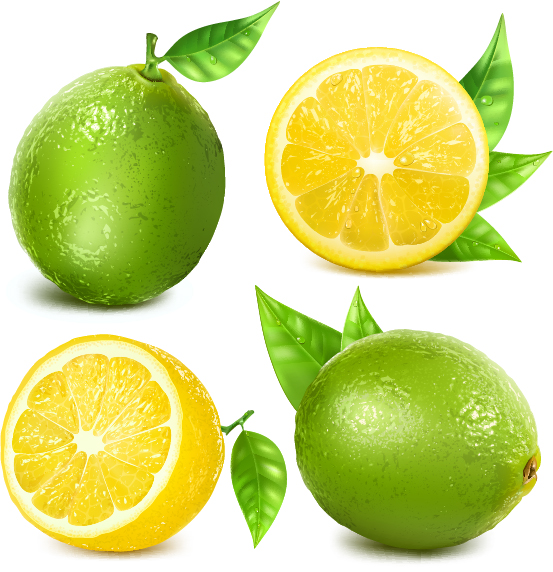 Saftige Zitronen-kreative Vektor 01 lemon Kreativ juicy   