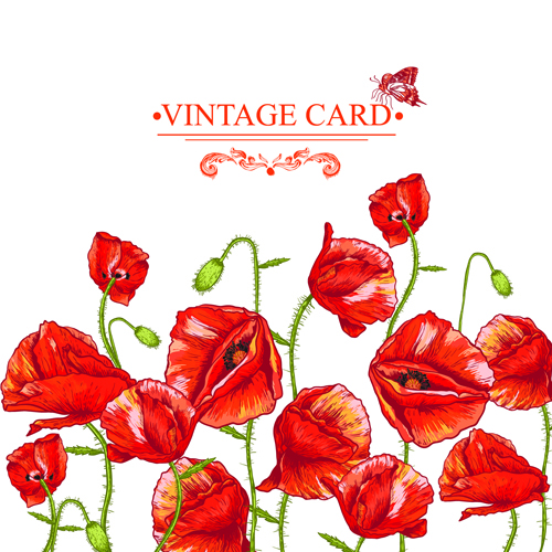 Retro rote Poppies Karten Vektorgrafik 01 Vektorgrafik rot Retro-Schrift Mohn Karten   