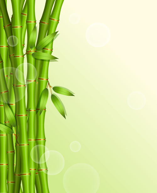 Glänzender Federbunde-Bambus-Vektorhintergrund 02 Vector-Hintergrundmaterial spring shiny Hintergrundmaterial Bambus   