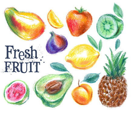 Farbige gezogene Früchte Vektormaterial 02 Obst material farbig   