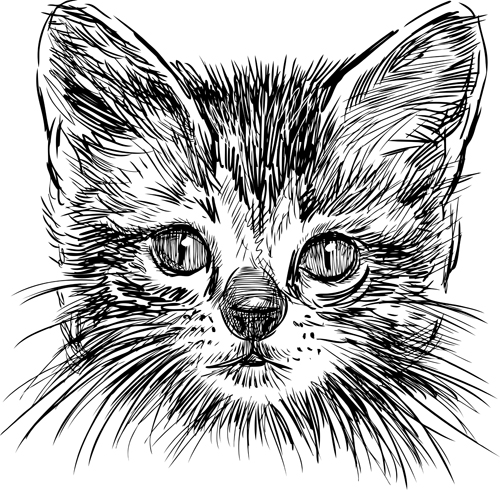 Hand Zeichnung schwarzer Kätzchen Vektor 01 Zeichnung Schwarz Kätzchen Handzeichnung   