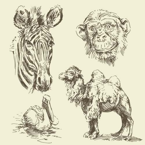 手描き野生動物ベクターセット03 手 図面 動物   