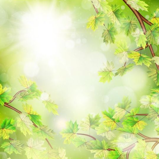 Feuilles vertes d’été avec le vecteur de fond de lumière du soleil 09 vert lumière du soleil fond feuilles été   