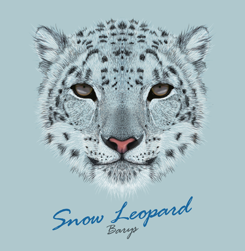 Schöner Schneeleopardenvektorhintergrund Schön Schneeleopard Schnee leopard Hintergrund   