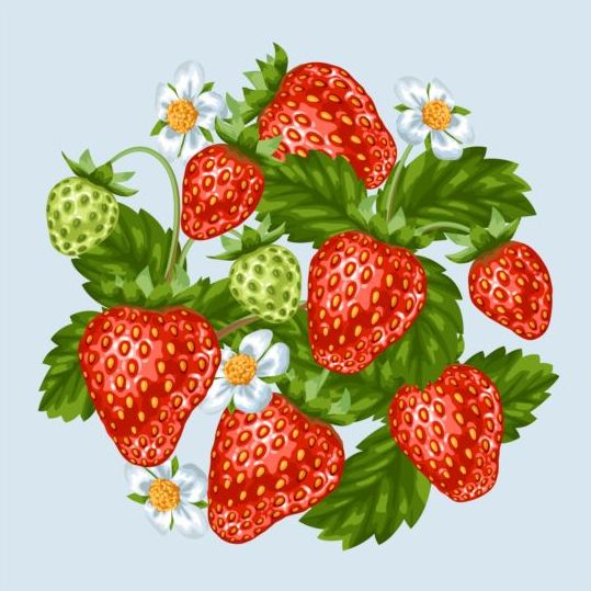 Frische Erdbeeren Hintergrunddesign Vektoren 04 Frisch Erdbeeren   