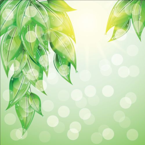 Grüne Blätter mit Halogenhintergrund vector.r Hintergrund Haltung grün Blätter   