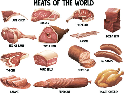 肉と名前のベクターデザイン 肉 名前 デザイン   