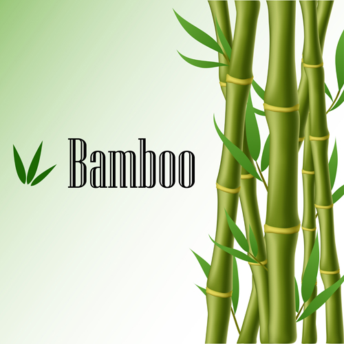 Glänzender Federbauch Bambusvektor-Hintergrundmaterial 01 Vector-Hintergrund shiny Hintergrundmaterial Hintergrund Bambus   