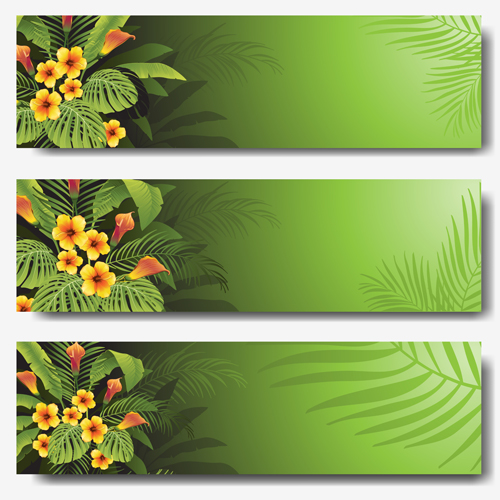 Ensemble de bannière verte vecteur plantes tropicales vert tropical plantes Bannière   