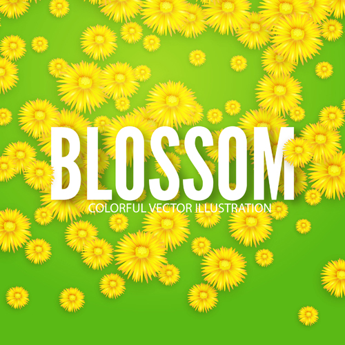 黄色の花 blosson 背景ベクトル11 黄色 花 背景 blosson   
