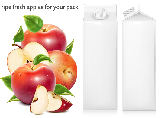Pommes fraîches mûres avec le vecteur d’emballage Pommes mûr frais emballage   