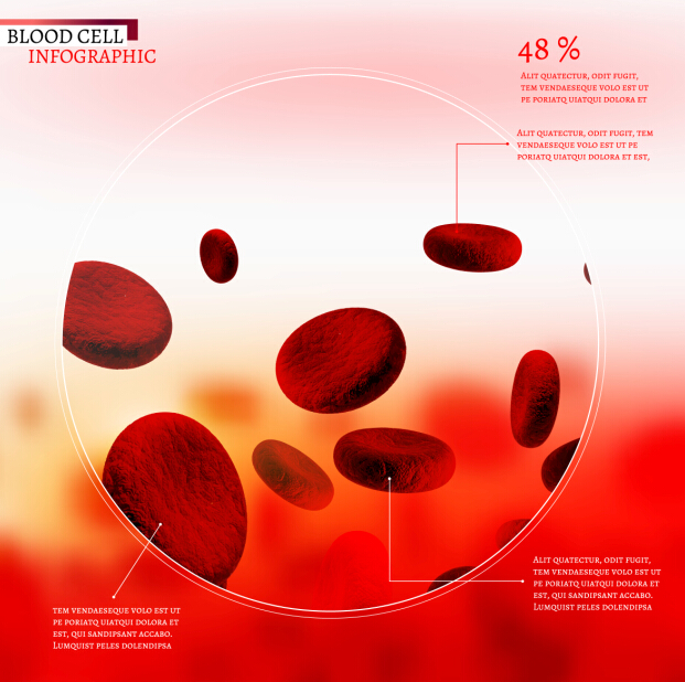 Vecteur créatif de conception infographique de cellules sanguines 02 sang infographie Créatif cellule   