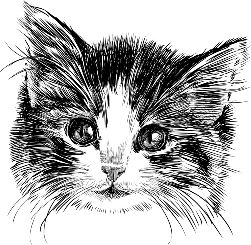 手描き猫ヘッドベクトルセット03 頭 手描き ネコ   