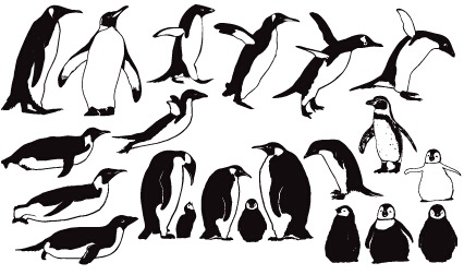 Pinguin niedliche Vektor-und Photoshop-Formen Pinguin photoshop Formen cute   