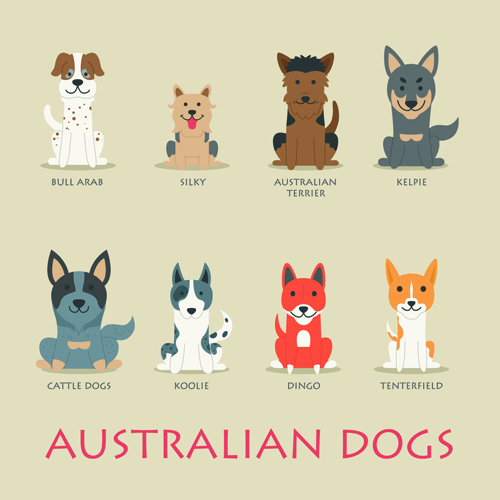 Vector Australische Hunde Ikonen Material material icons Hunde Australisch   