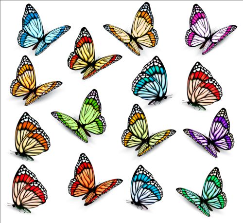 Papillons colorés illustration vecteur collection 07 papillons illustration coloré collection   