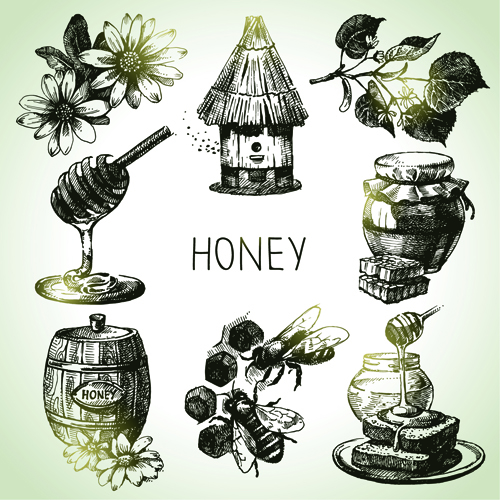 Handgezeichnete Honigelemente Vektorsymbole Ikonen Honig Hand gezeichnet Elemente   