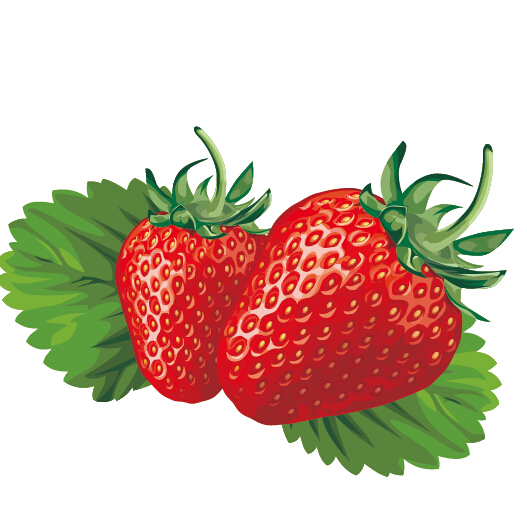 Saftige frische Erdbeeren setzen Vektor 03 juicy Frisch Erdbeeren Beeren   