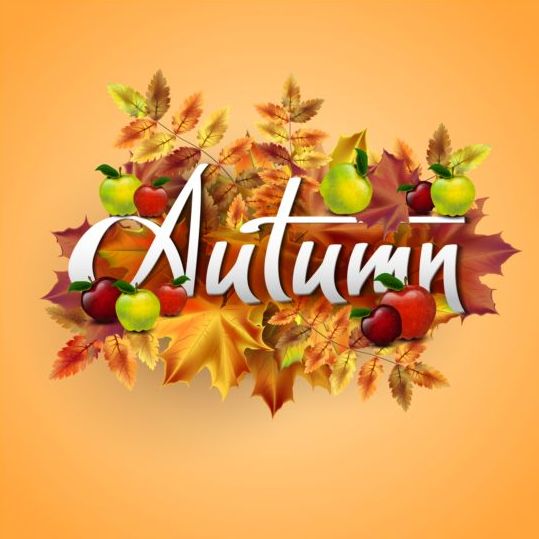 Apfel mit Blättern herbstlicher Hintergrundvektor Hintergrund Herbst Blätter apple   