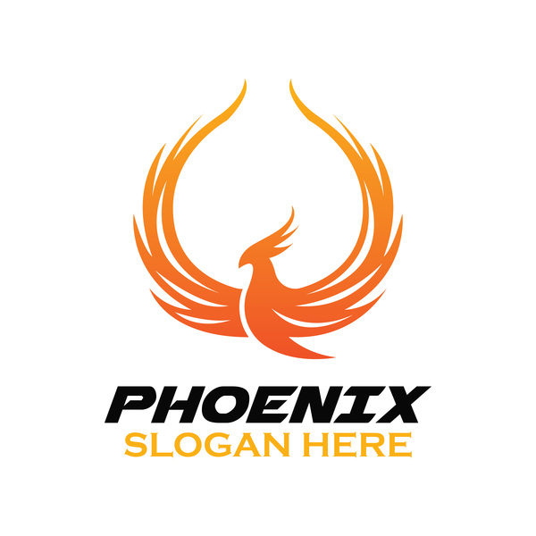 Creative Phoenix logo ensemble vecteur 12 phoenix logo Créatif   