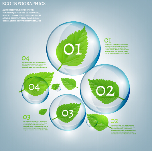 Eco infographics et feuilles vecteur bulle 01 infographies feuilles eco bulle   