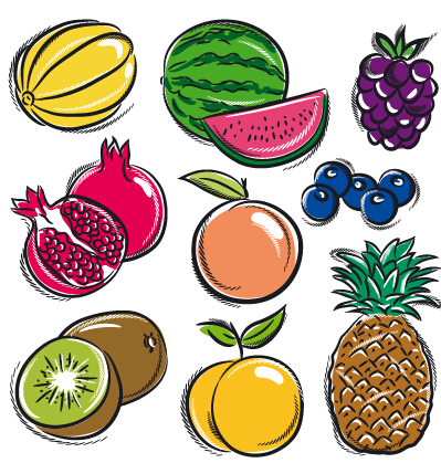 Handgezeichnete Früchte Grafikvektor 02 Obst Hand gezeichnet   