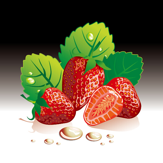 Saftige frische Erdbeeren setzen Vektor 02 juicy Frisch Erdbeeren Beeren   
