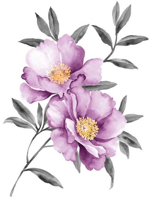 Purple Peony Aquarell Vektor Violett Pfingstrosen Aquarell   