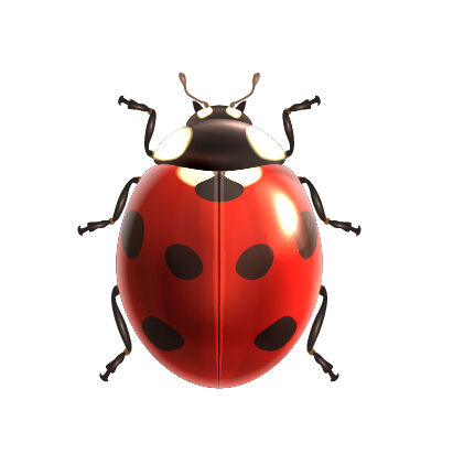 Realistisches Ladybird-Vektordesign realistisch Marienkäfer   