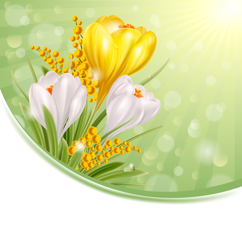 Blanc brillant avec des fleurs jaunes vecteurs fond 01 jaune fond fleurs brillant blanc   