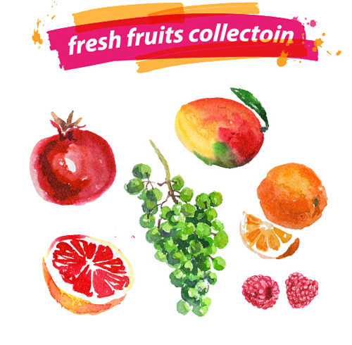 Aquarelle fruits frais Set 09 vecteur fruits frais aquarelle   