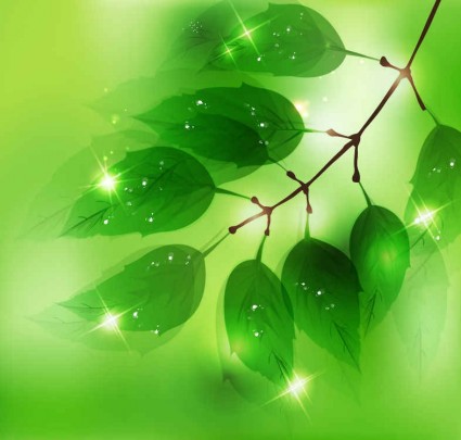 新鮮な緑の葉のベクトルと自然の背景 自然 背景 緑 新鮮な leavess   