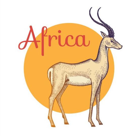 Vecteur d’antilope d’Afrique antilope Afrique   