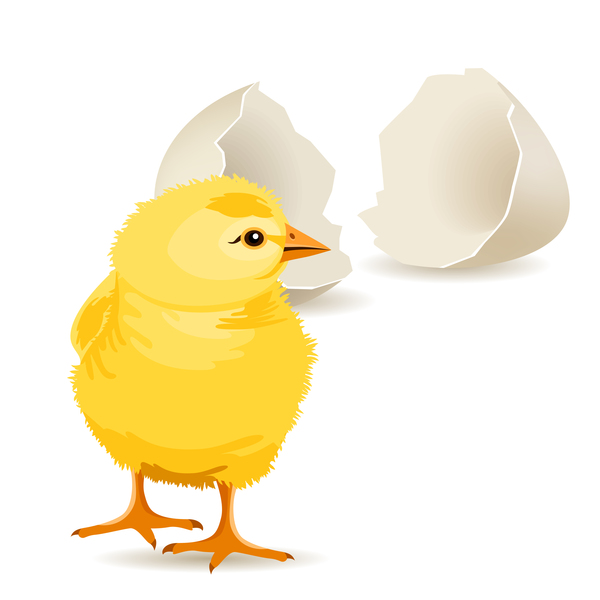 壊れた卵と漫画の鶏ベクトル05 鶏 漫画 壊れた 卵   