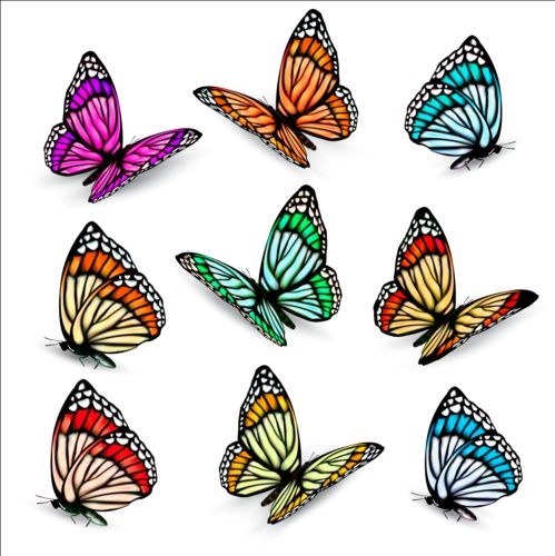 Papillons colorés illustration vecteur Collection 06 papillons illustration coloré collection   