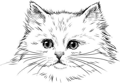 手描き猫ヘッドベクターセット02 頭 手描き ネコ   