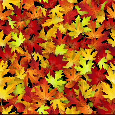 現実的な秋の葉パターンベクターグラフィックス07 秋の葉 秋 現実的な パターン   