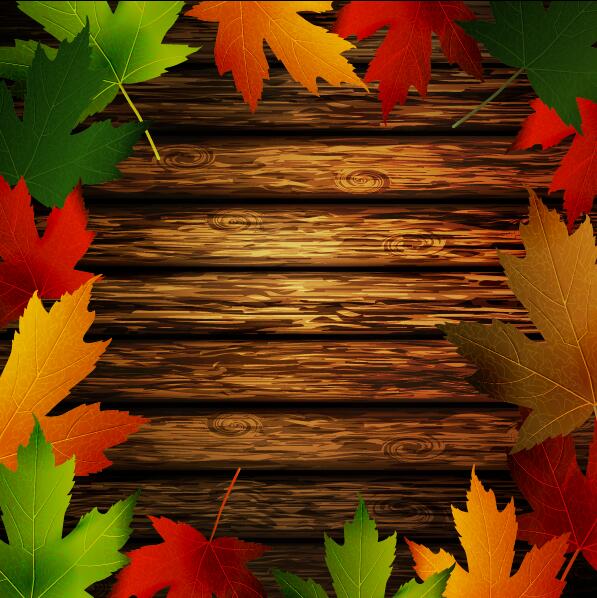 Cadre de feuilles d’automne avec le vecteur de fond en bois 04 l’automne feuilles en bois cadre   