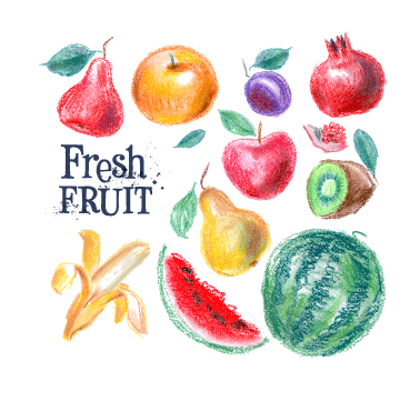 Fruits dessinés colorés vecteurs matériel 01 matériel fruits dessiné coloré   