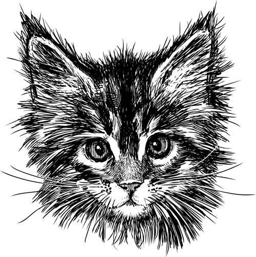 Von Hand gezeichnete Katzen Kopfvektor-Set 01 Katzen Hand gezeichnet hand   