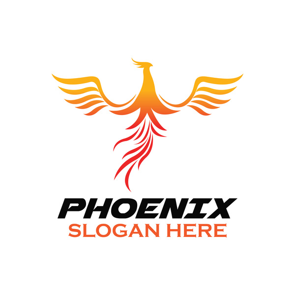 Kreative Phönix-Logo-Set-Vektor 11 phoenix logo Kreativ   