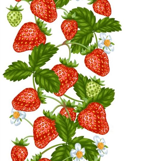 Erdbeeren mit weißer Blüte nahtlos Grenzvektor 01 weiß Rand nahtlos Erdbeeren Blume   