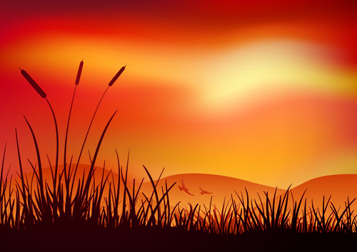 Sonnenuntergangslandschaften schöne Vektorhintergründe 02 Vector-Hintergrund Schön Landschaft Hintergrund   