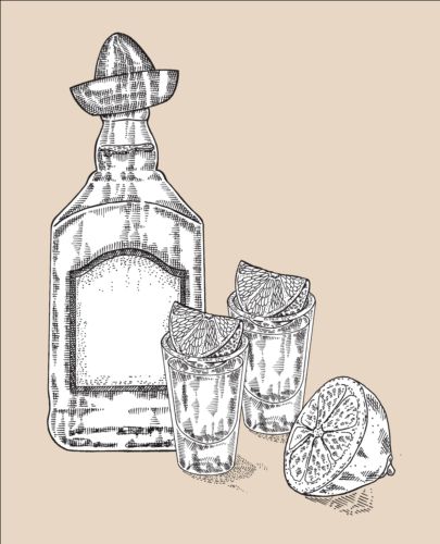 Tequila avec bouteille et verres dessinés à la main vecteur 04 Tequila main Lunettes dessiné bouteille   