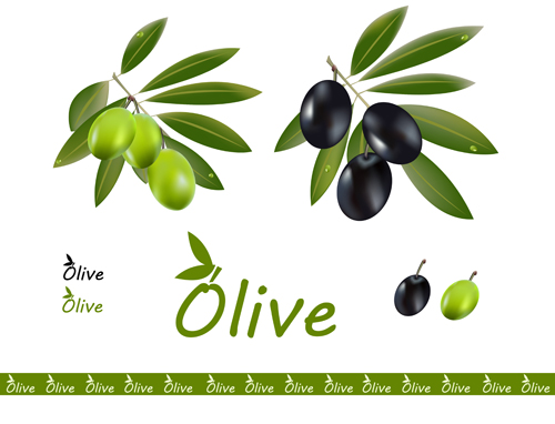 Matériaux de conception de vecteur d’olives délicates 04 olive délicat   