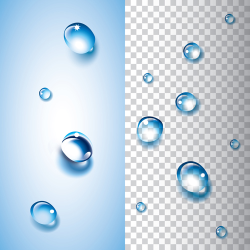 Glänzender Wassertropfen Vektorabbild Set 02 water drop shiny illustration   