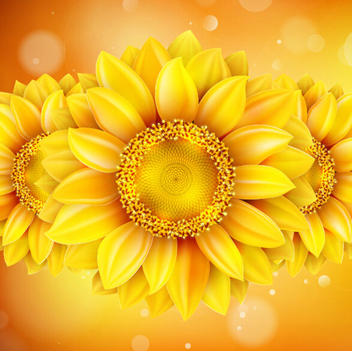 Sonnenblume mit bokeh Vektorhintergrund 07 Sonnenblume Hintergrund bokeh Blume   