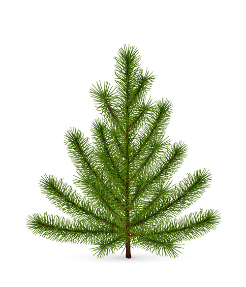 Weihnachtgrüne Tanne Weihnachten Tannenbaum material grün   